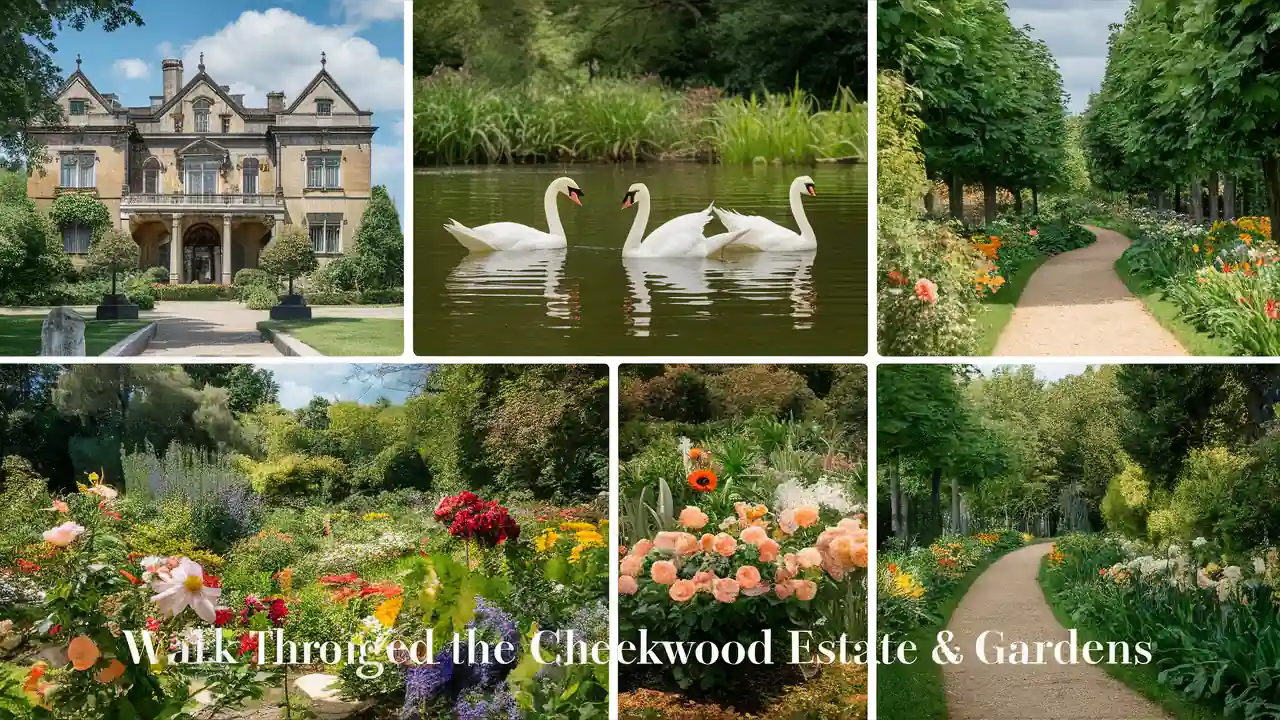 Top 15 Romantic Things to do in Nashville Tennessee for Couples 4 Collage of six images showing the Cheekwood Estate & Gardens: a grand mansion, swans gliding on a pond, and vibrant gardens with colorful flowers and lush pathways. The text reads "Walk Through the Cheekwood Estate & Gardens.