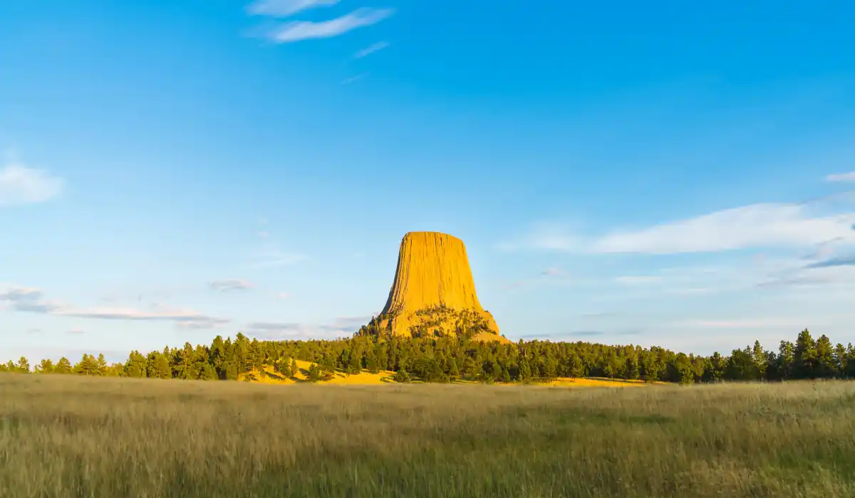Top 15 Fun $ Unique Places That Don't Feel Real in the USA 2025 16 A large rock formation, known as Devils Tower, rises dramatically from a flat, grassy landscape. It is surrounded by a line of trees, under a clear blue sky with scattered clouds.