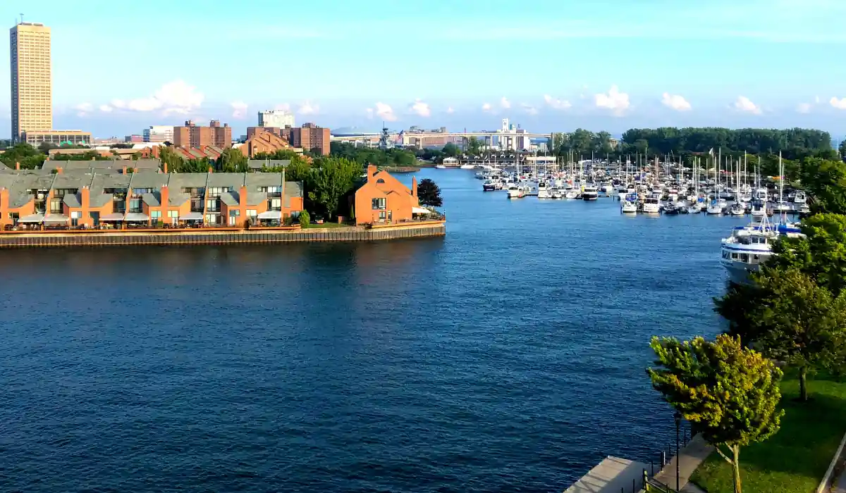 Top 12+ Romantic Things to Do in Buffalo for Couples in November 13 A scenic view of a river or harbor, lined with numerous docked boats. Modern buildings and lush trees surround the water, and a bright blue sky with scattered clouds completes the tranquil setting.