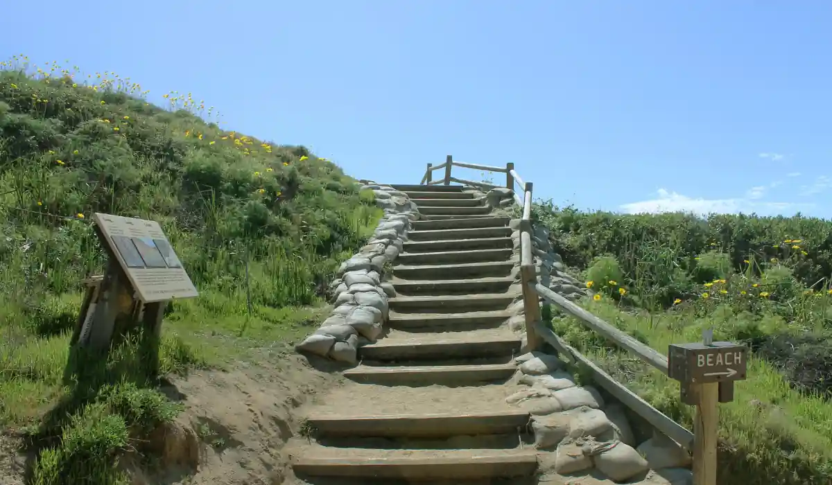 12+ Best Things to do in San Diego for Couples 2025 15 A sunny pathway with wooden stairs leading up a grassy hill, surrounded by wildflowers. Signs indicate the direction to a beach. A wooden fence lines the right side of the path, with a clear blue sky overhead.