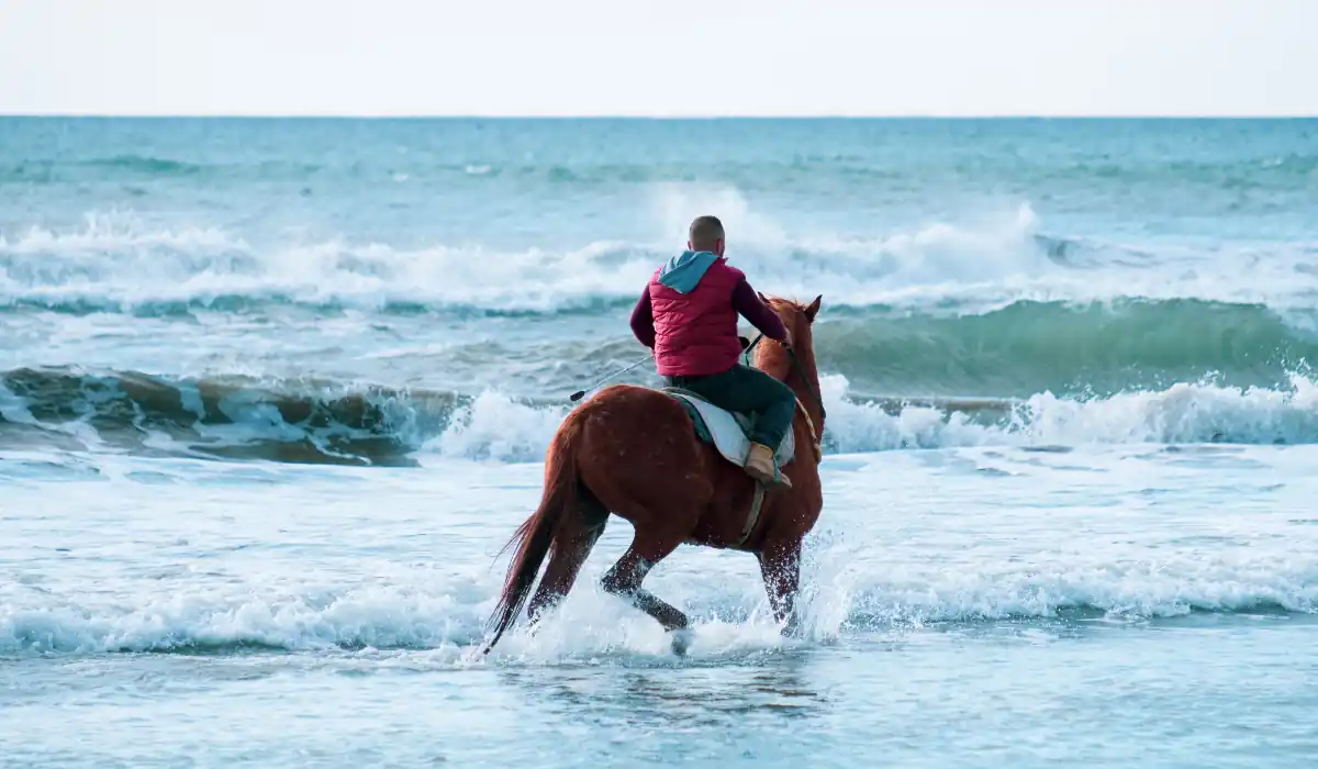 20 Most Romantic Things to do in California for Couples 15 A person in a red jacket rides a brown horse through shallow ocean waves on a beach. The sea is slightly choppy, and the sky is overcast.