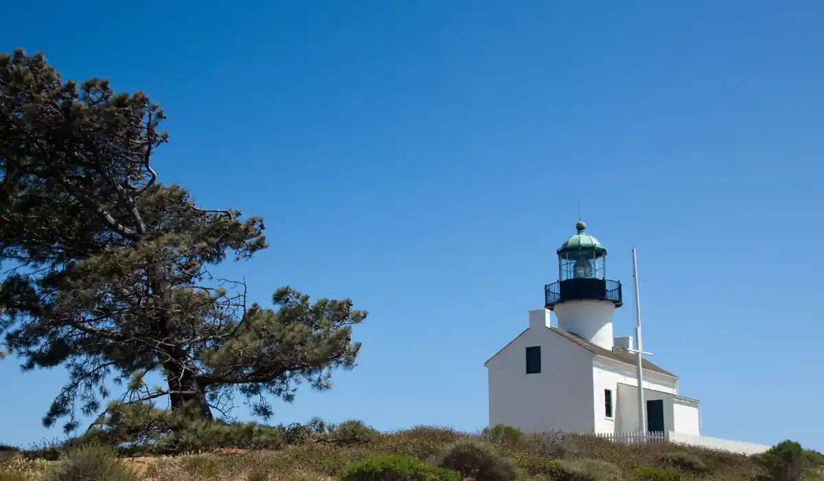 12+ Best Things to do in San Diego for Couples 2025 9 A white lighthouse with a teal roof stands against a clear blue sky. A tall, leaning pine tree is on the left, adding contrast. The ground is covered with green and brown shrubs, completing this tranquil coastal scene.