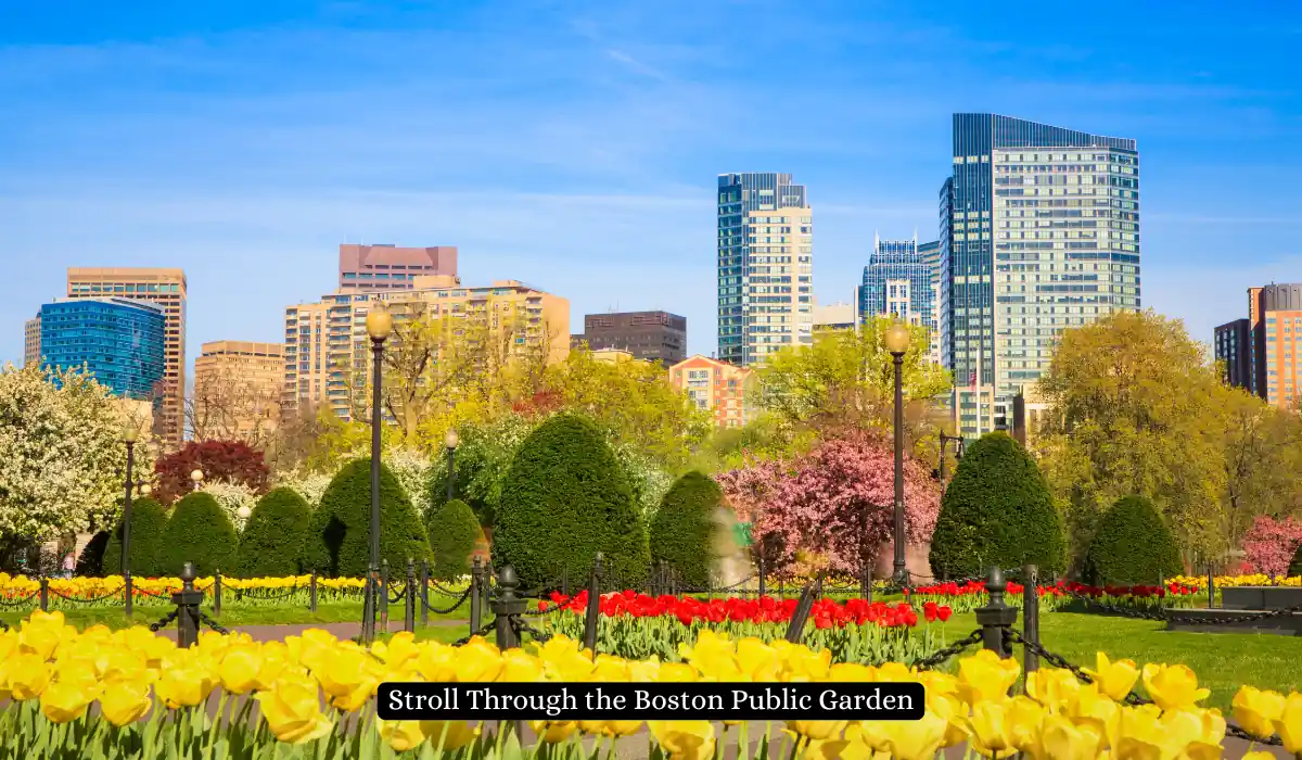15 Free Romantic Things to Do in Massachusetts for Couples 5 A vibrant garden in spring, featuring yellow tulips in the foreground, manicured shrubs, and blossoming trees. The background showcases a city skyline under a clear blue sky. A path with lampposts winds through the park.