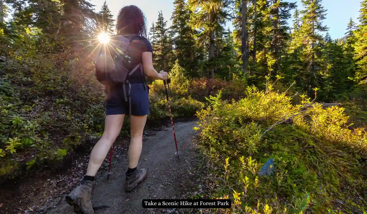 Top 15+ Romantic Things to do in Portland for Couples 12 A person with a backpack and hiking poles walks on a forest trail. The sun shines through the trees, casting a warm glow. The trail is surrounded by lush greenery and tall trees under a clear blue sky.