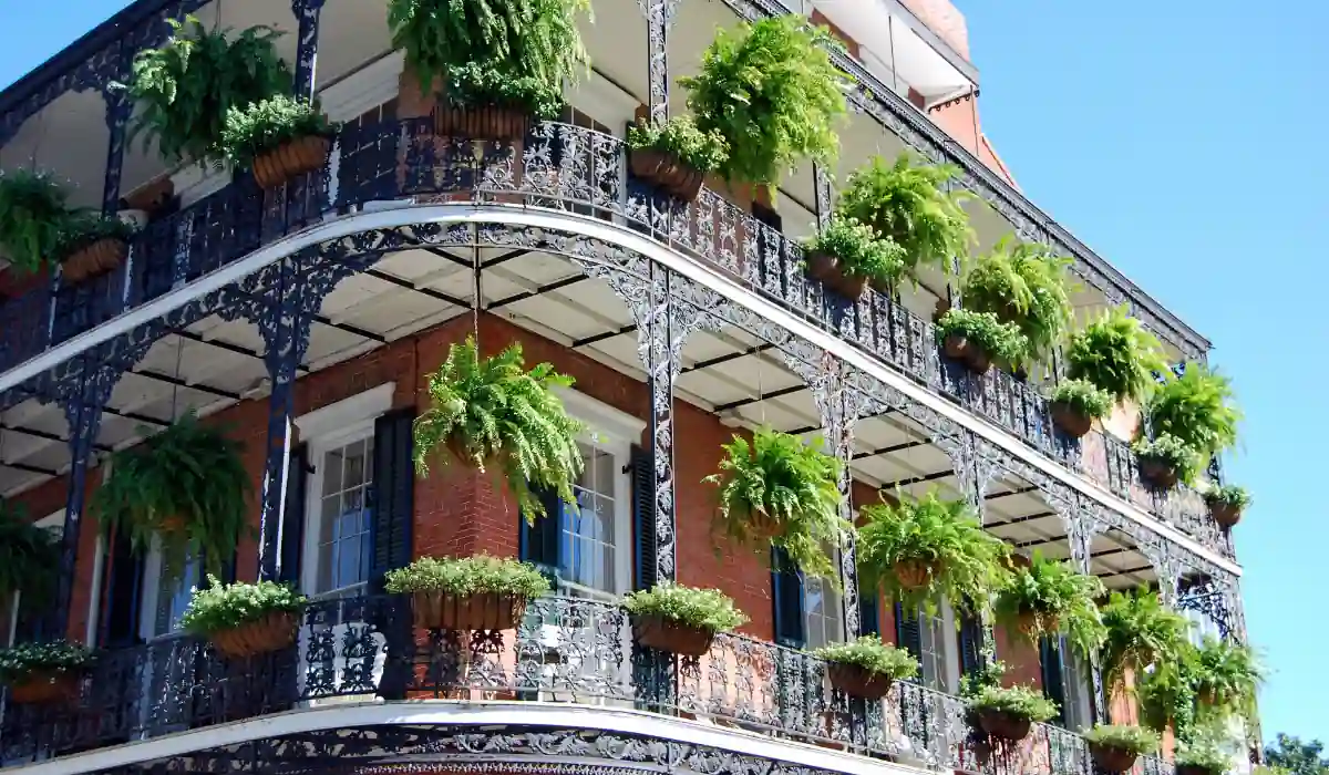 The 15 Best Things to Do in New Orleans for Couples 11 A three-story building with ornate black wrought iron balconies adorned with numerous green ferns in pots. The building has a brick facade and large windows, set against a clear blue sky.