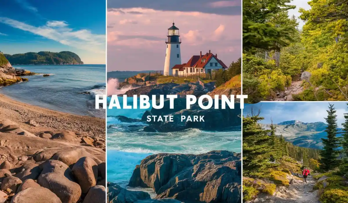 15 Free Romantic Things to Do in Massachusetts for Couples 12 Collage of Halibut Point State Park showcasing coastal views, a lighthouse, forest trails, and a hiker amidst lush greenery and mountains. Text reads "Halibut Point State Park.