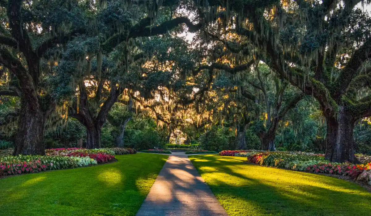 Brookgreen Gardens