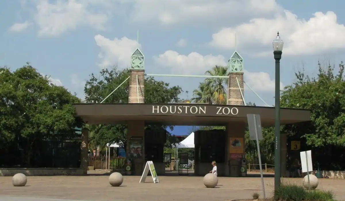 15+ Fun and Romantic Things To Do In Houston for Couples 6 Entrance to the Houston Zoo with stone pillars and green accents under a partly cloudy sky. Trees surround the entryway, and signs are visible near the pathway.