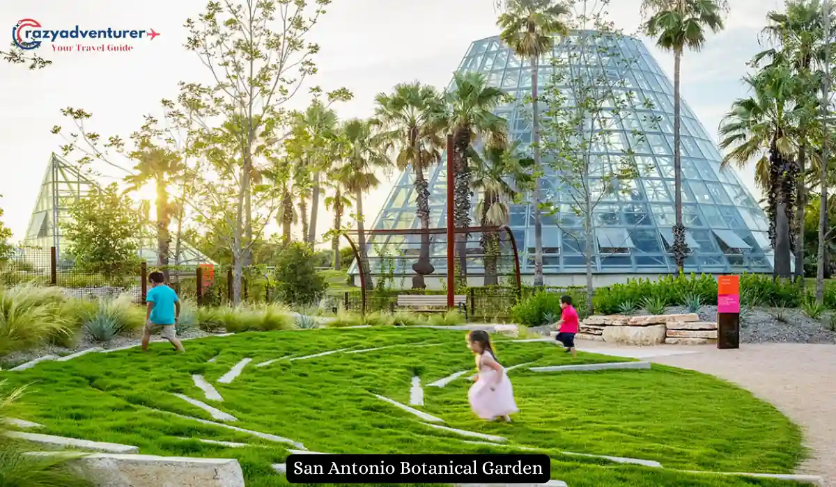 Children play on a grassy lawn at the San Antonio Botanical Garden. The sun sets behind palm trees and a large glass conservatory. A logo for crazyadventurer is visible in the top left corner.
