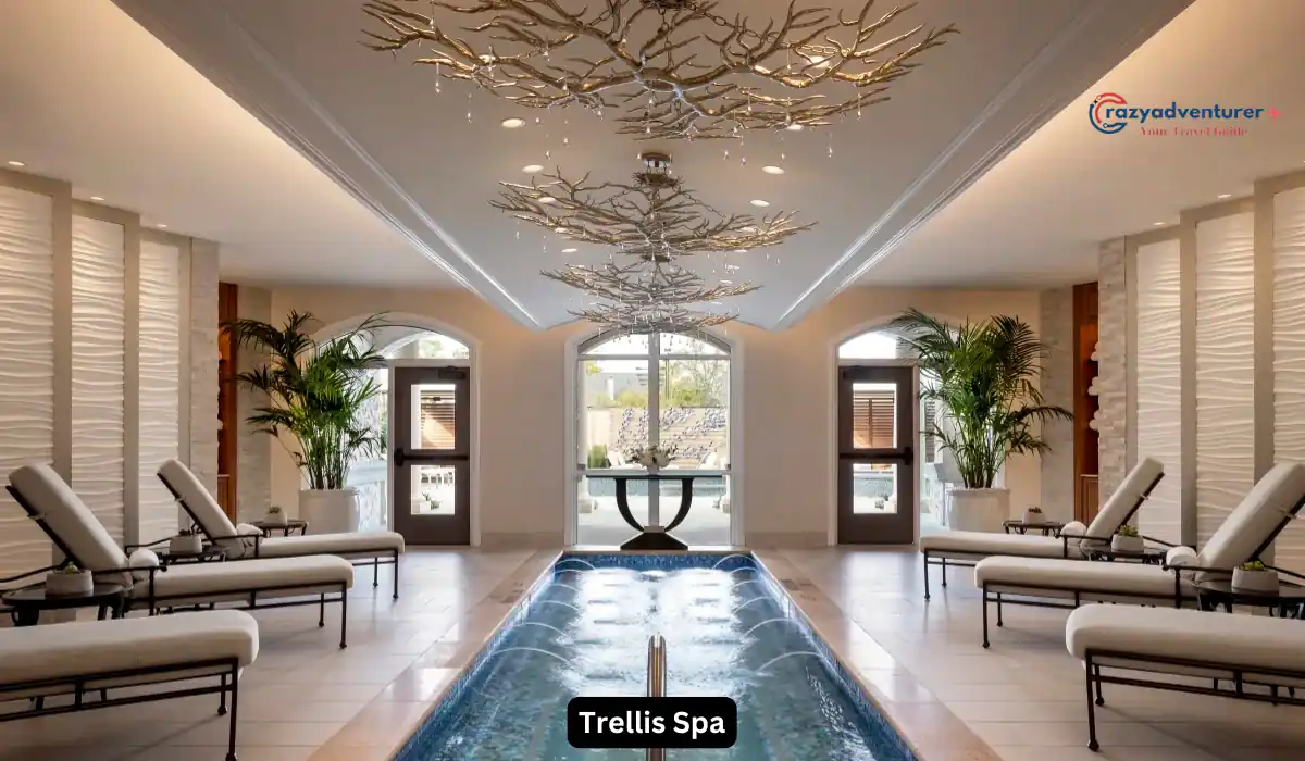 15+ Fun and Romantic Things To Do In Houston for Couples 12 A luxurious spa interior with a central water feature, lined with cushioned lounge chairs. Elegant lighting fixtures resembling tree branches hang from the ceiling. Large windows and potted plants add a serene ambiance.