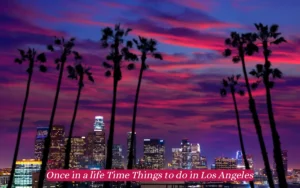 A vibrant evening sky with pink and purple hues over the Los Angeles skyline, framed by tall palm trees. Text at the bottom reads, Once in a lifetime things to do in Los Angeles.