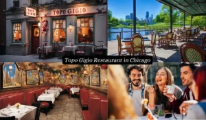 Topo Gigio Restaurant in Chicago: Insider Menu, Prices & Dining Guide