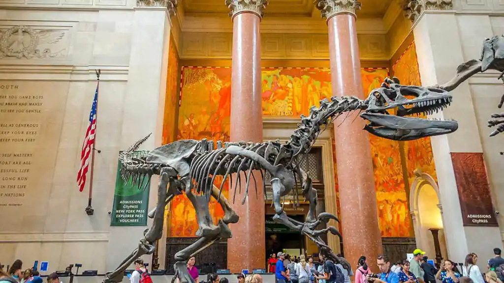The 15 Most Engaging New York Teenager Things to Do in 2025 10 American Museum of Natural History