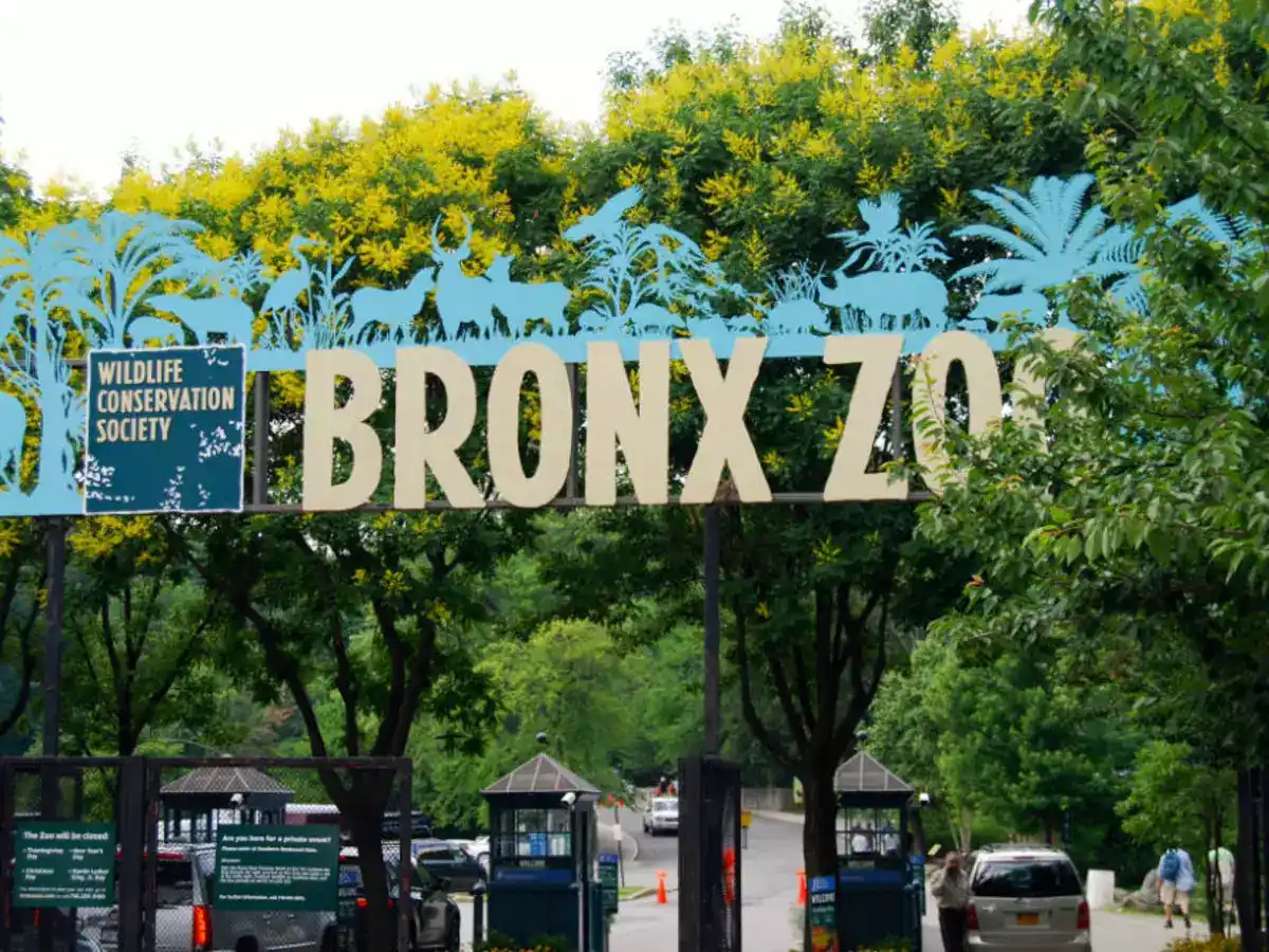 The 15 Most Engaging New York Teenager Things to Do in 2025 4 Bronx Zoo