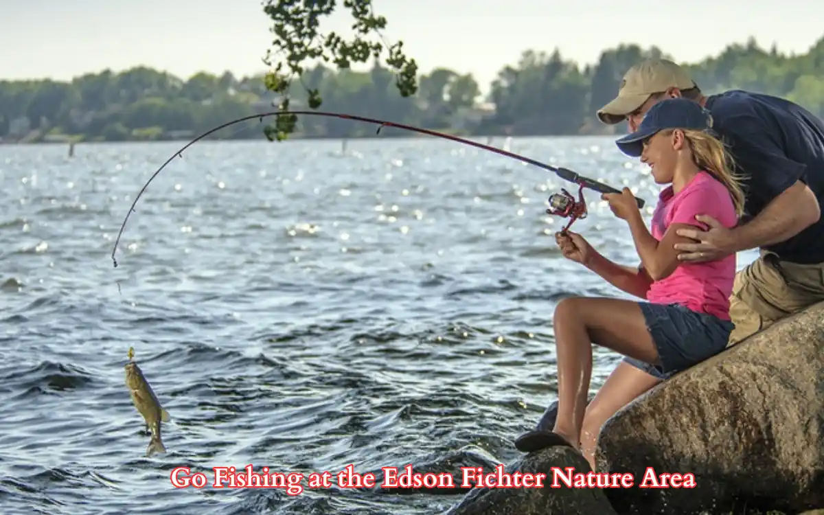 Go Fishing at the Edson Fichter Nature Area