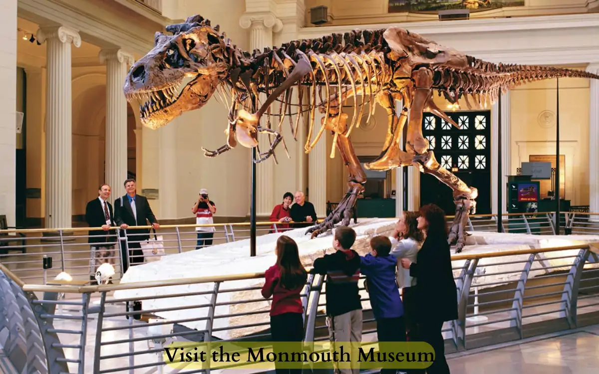 Top 6 Family Friendly Things to Do in Monmouth County 3 Visit the Monmouth Museum