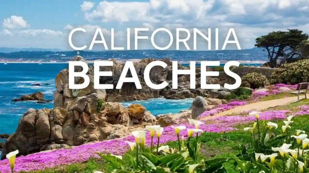 10 Best Beaches in California You Can’t Miss in 2025 14 Best Time to Visit California Beaches