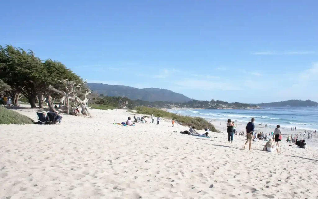 10 Best Beaches in California You Can’t Miss in 2025 7 Carmel Beach