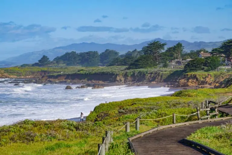 10 Best Beaches in California You Can’t Miss in 2025 11 Moonstone Beach