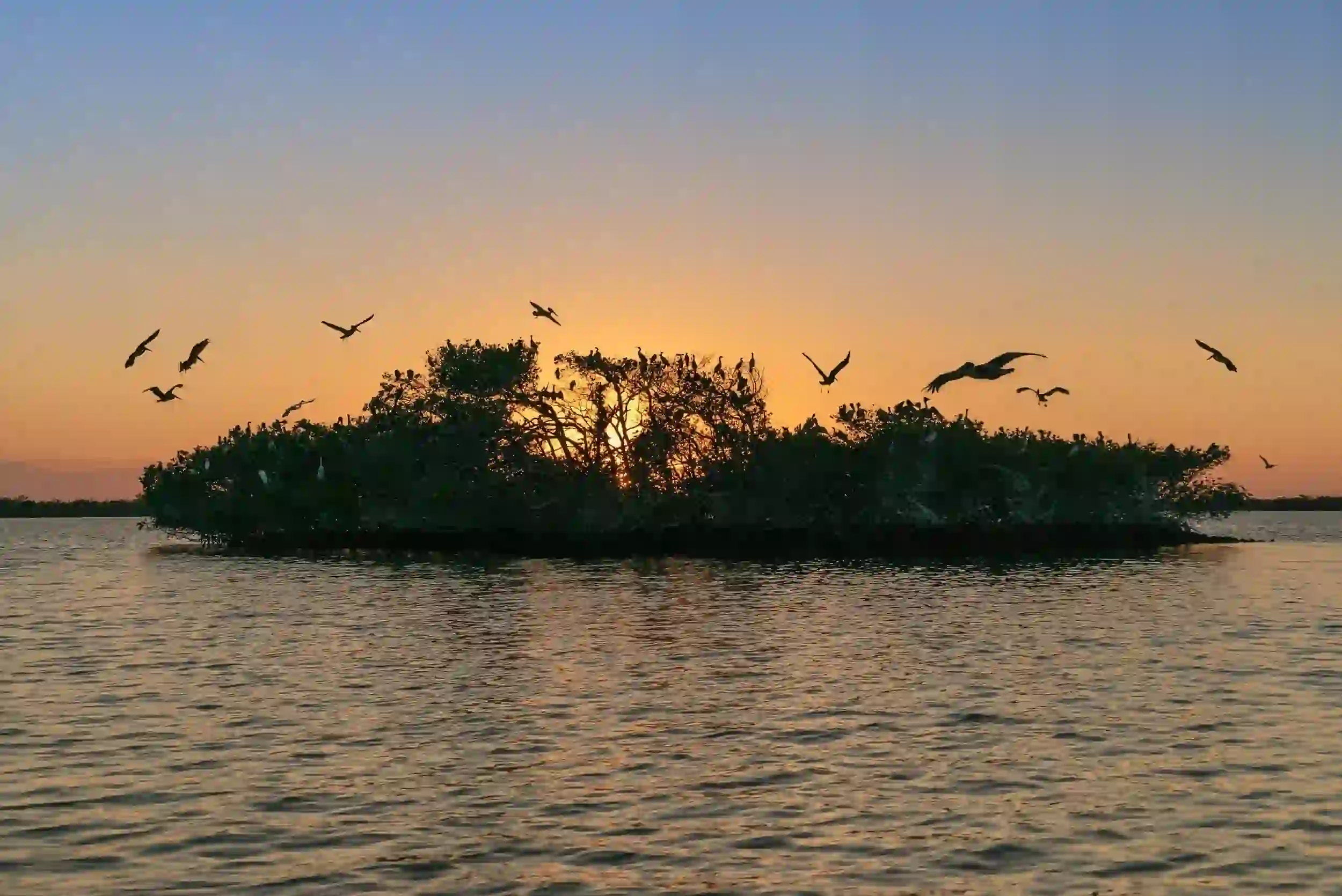 15 Unique Things To Do in Marco Island 7 Rookery Bay Reserve