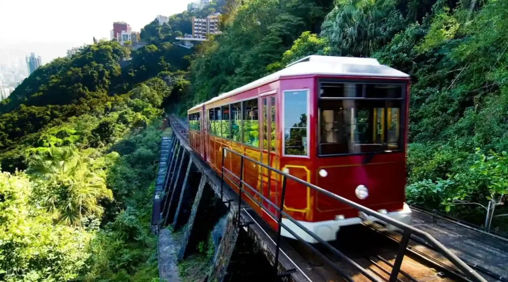 15 Unique Things to Do in Portugal for Every Traveler 5 Take a Tram Ride through the Scenic Streets of Porto