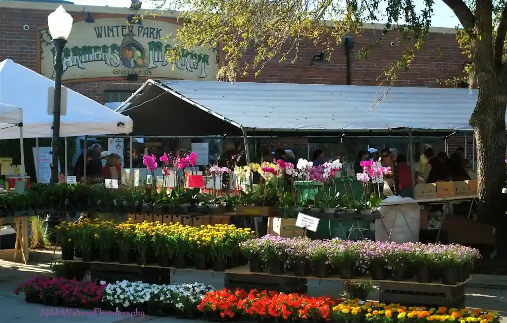 15 Unique Things To Do in Marco Island 11 Veterans Park Farmers Market