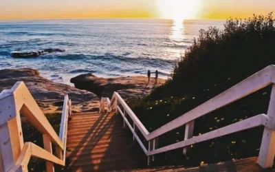 15 Most Instagrammable Spots in San Diego for Perfect Photos
