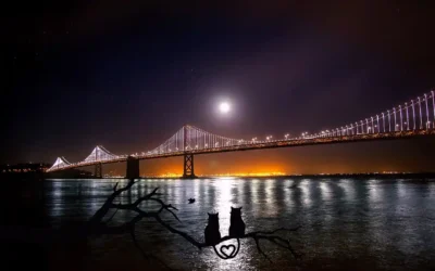 15 Romantic Things to Do in San Francisco at Night for Couples