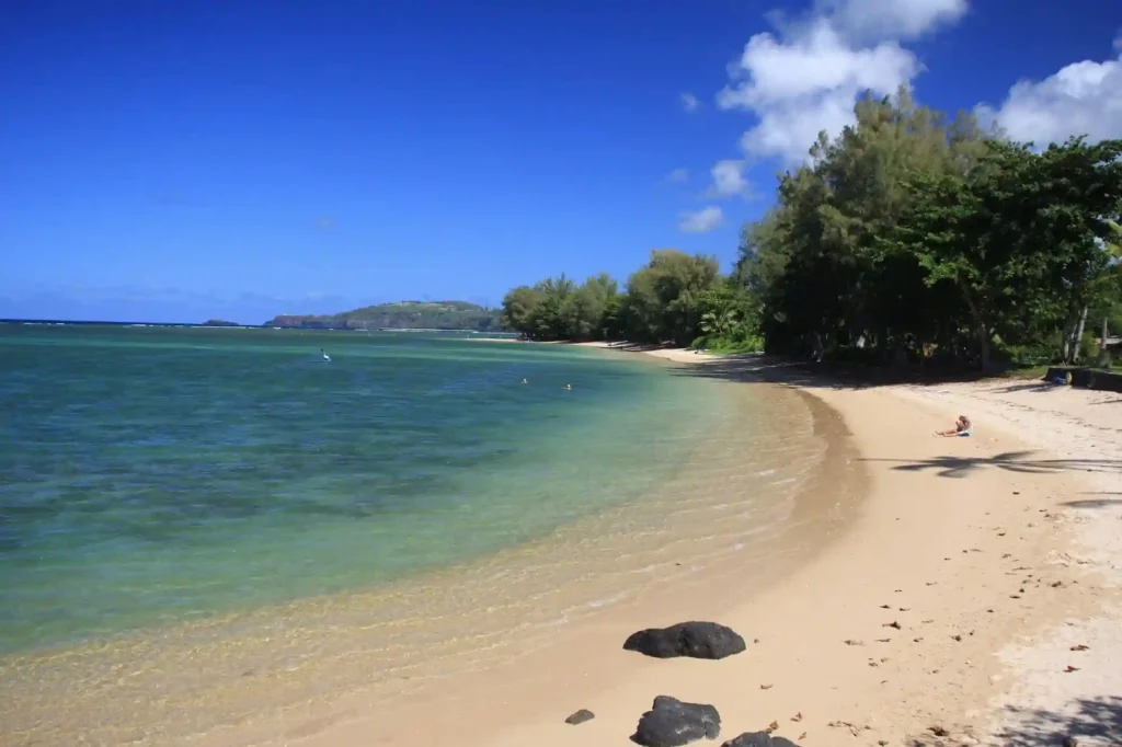 13 Stunning Pink Sand Beach Hawaii Escapes for Relaxing 13 Anini Beach Kauaʻi