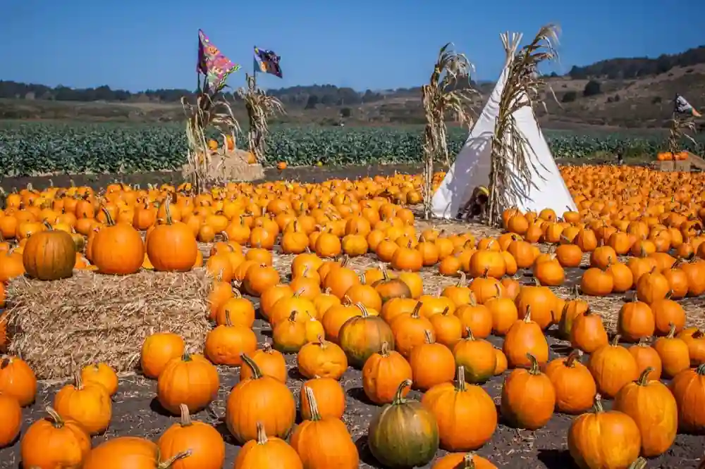 10 Northern California Coastal Towns Hidden Gems 8 Half Moon Bay – Coastal Charm with Pumpkin Spirit
