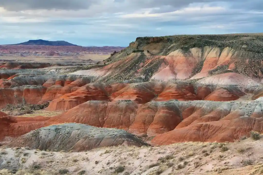 Painted Desert Petrified Forest National Park