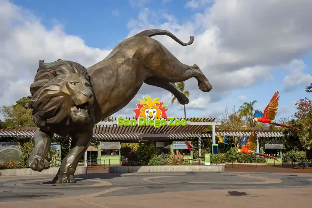 15 Most Instagrammable Spots in San Diego for Perfect Photos 16 San Diego Zoo – Wildlife Wonders