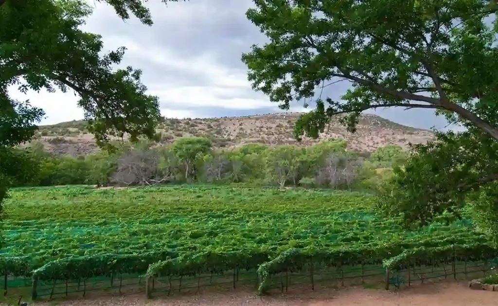 20 Romantic Things To Do In Sedona Arizona for Couples 6 Sip and Savor on the Verde Valley Wine Trail