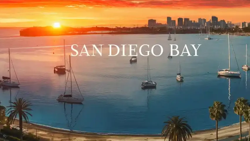 12+ Best Things to do in San Diego for Couples 2025 13 A scenic view of San Diego Bay at sunset. The bay is dotted with sailboats, framed by a sandy beach with palm trees in the foreground. The city skyline is silhouetted against the vibrant orange and red sky.