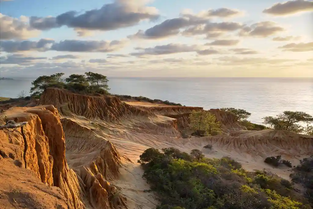 15 Most Instagrammable Spots in San Diego for Perfect Photos 14 Torrey Pines State Natural Reserve – Coastal Hikes