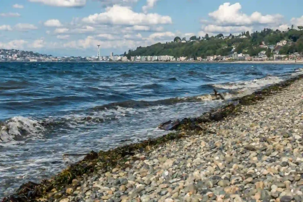 10 Unique Seattle Date Ideas on a Budget for 2025 13 Alki Beach Walk Ferry Views