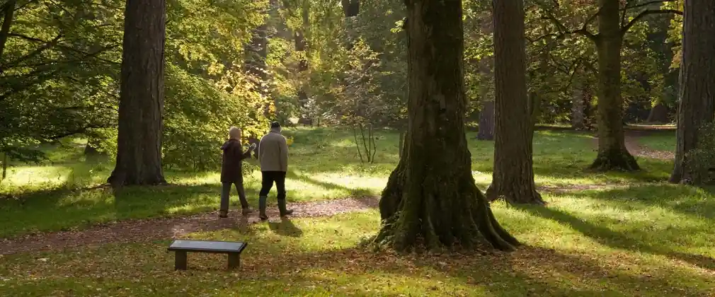 Top 20 Best & Dreamy Spots in Cincinnati for Couples 13 Alms Park – Timeless Beauty and Quiet Trails