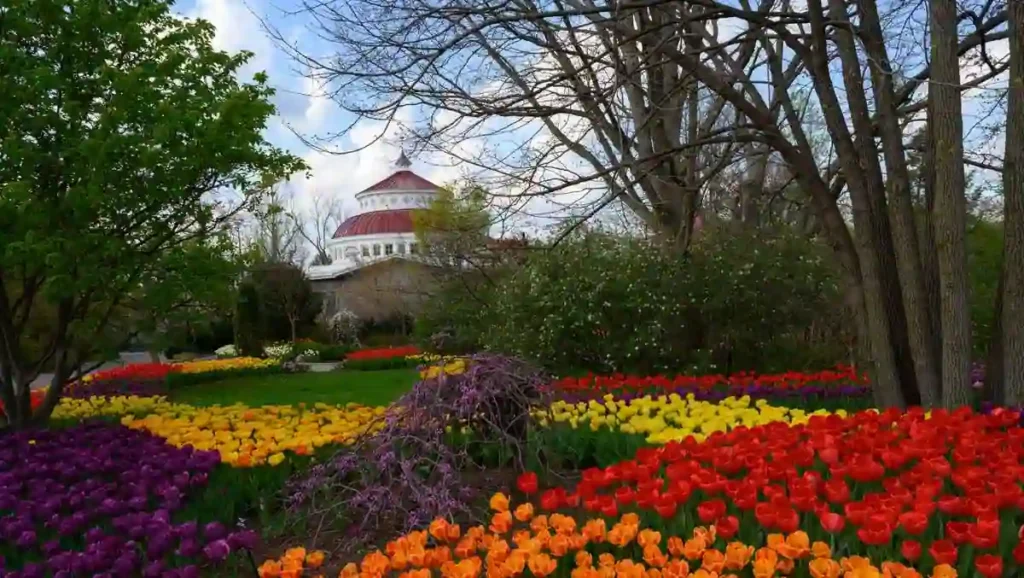 Top 20 Best & Dreamy Spots in Cincinnati for Couples 17 Cincinnati Zoo Botanical Garden – Love Blooms with Wildlife