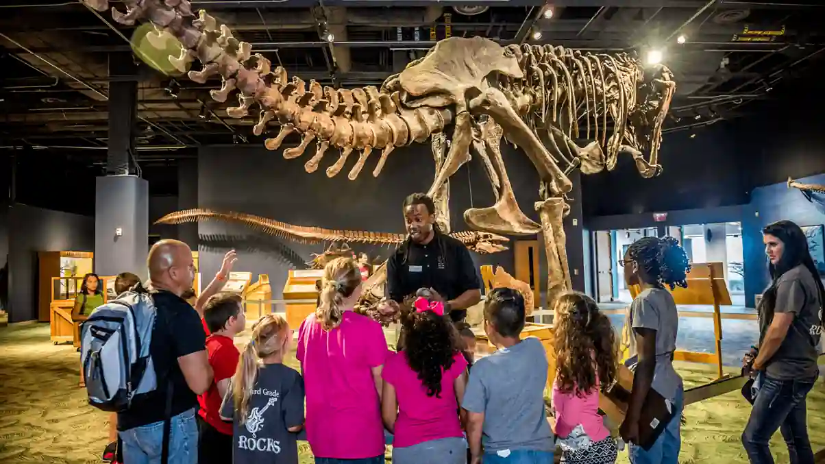 15 Unforgettable Things to Do in Chicago in November for Everyone 17 Enjoy the Field Museum