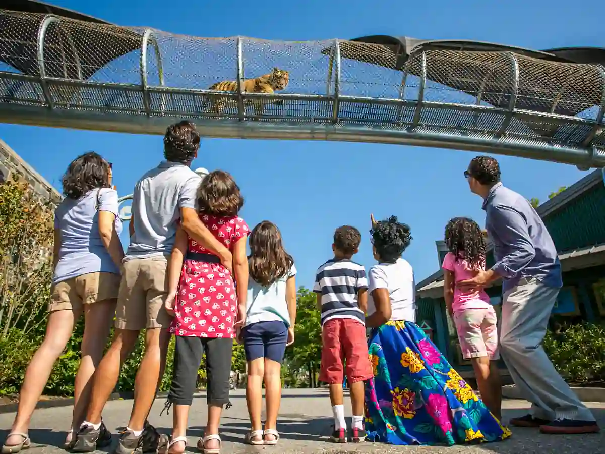 15 Unforgettable Things to Do in Chicago in November for Everyone 14 Family Fun — 5 Things to Do in Chicago in November for Kids and Parents