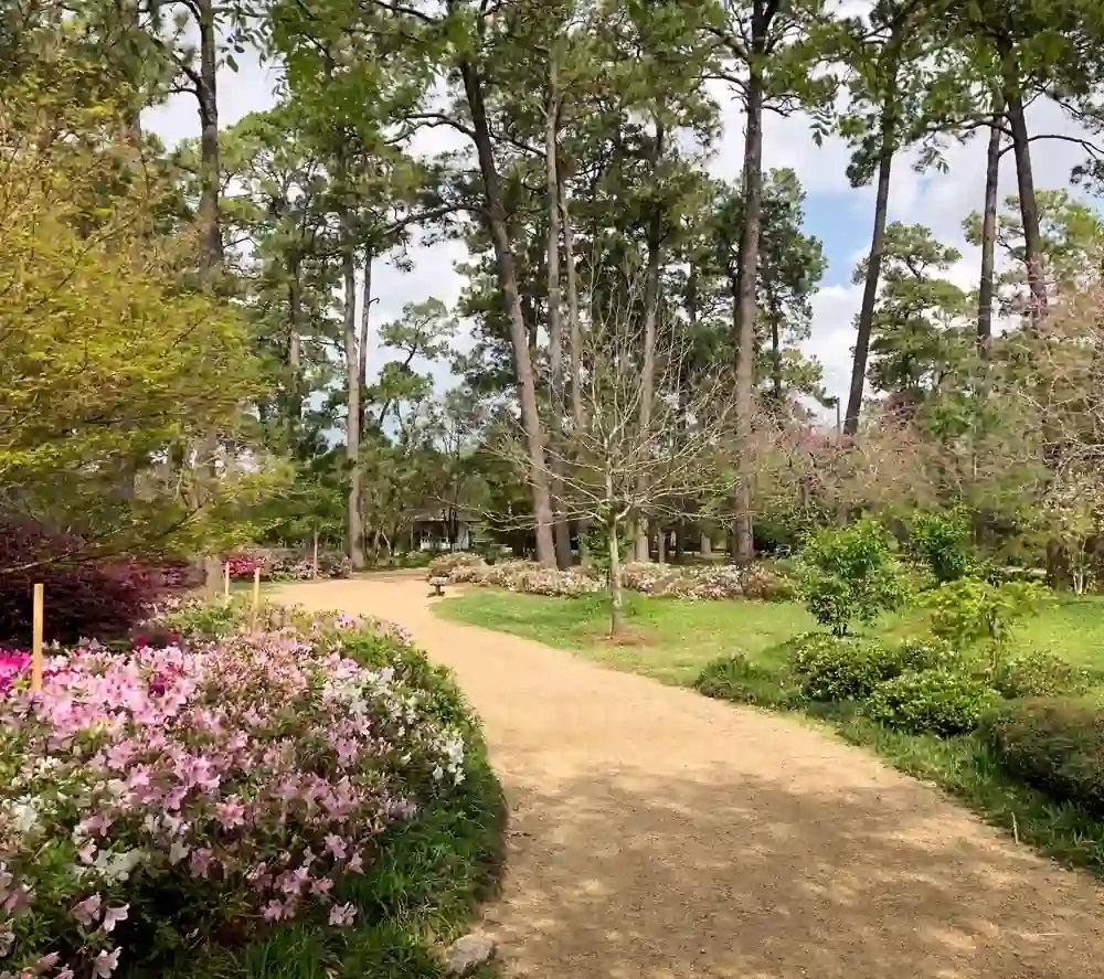 Top 40 Fantastic Places for Date Night Ideas Houston 21 Hermann Park Conservancy