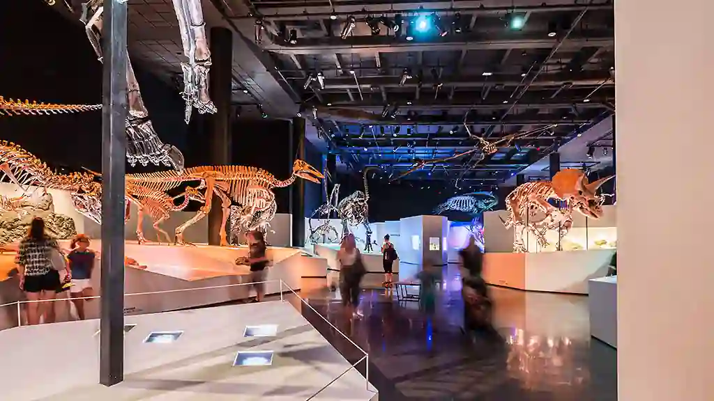 Top 40 Fantastic Places for Date Night Ideas Houston 17 Houston Museum of Natural Science at Night