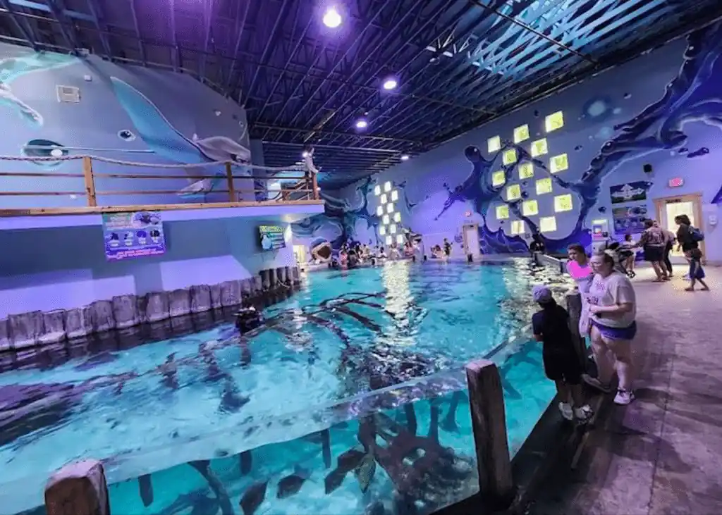 7 Unforgettable Moments at Houston Interactive Aquarium and Animal Preserve 2 Moments of Discovery in Houston