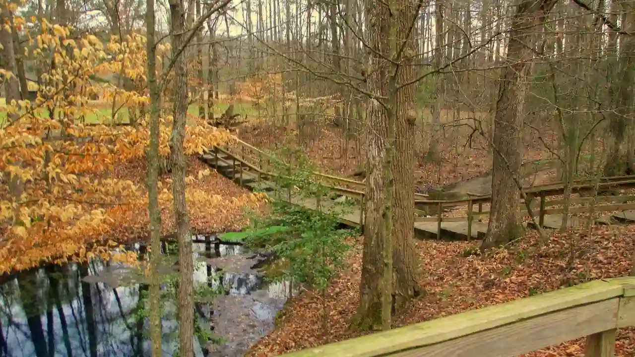 Top 30 Romantic Things to Do in Cleveland for Couples 14 Nature Parks Outdoor Escapes
