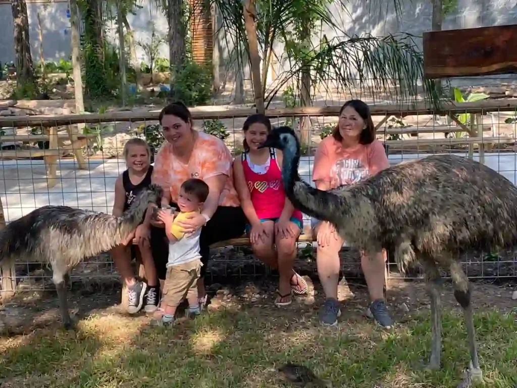 7 Unforgettable Moments at Houston Interactive Aquarium and Animal Preserve 7 Petting the Kangaroos – Australia Meets Texas