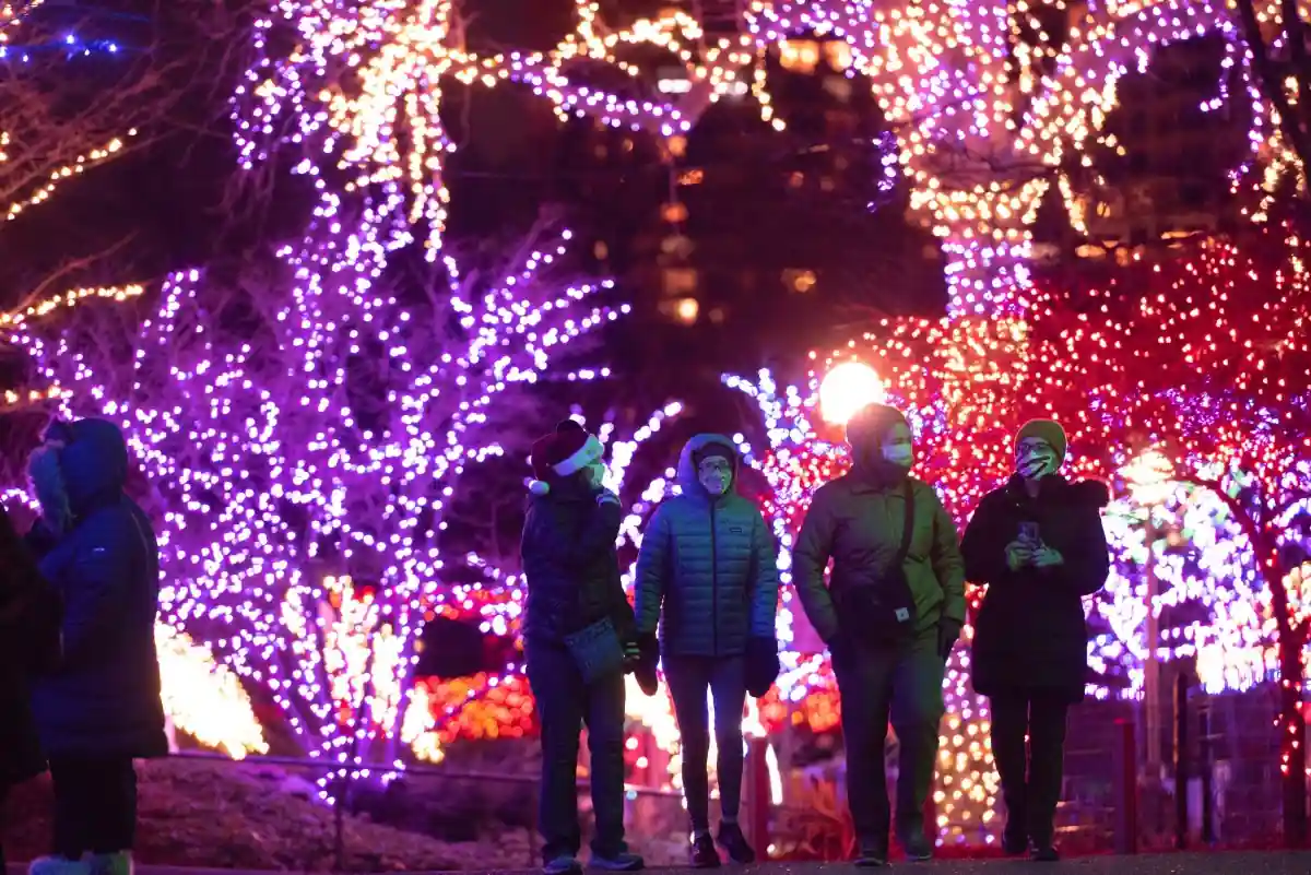 15 Unforgettable Things to Do in Chicago in November for Everyone 4 Stroll the Lincoln Park Conservatory and ZooLights