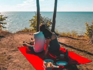 A couple sits close together on a bright red blanket, enjoying a picnic by the seaside. They face the calm blue water under a clear sky, surrounded by trees and picnic items on the ground.