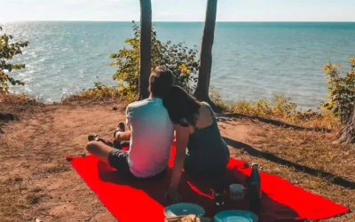 A couple sits close together on a bright red blanket, enjoying a picnic by the seaside. They face the calm blue water under a clear sky, surrounded by trees and picnic items on the ground.