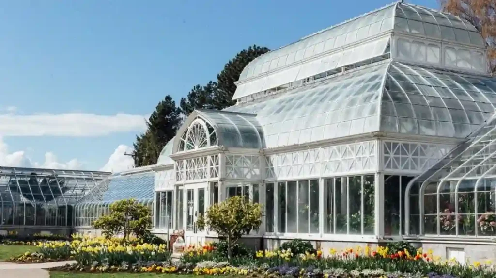 10 Unique Seattle Date Ideas on a Budget for 2025 11 Volunteer Park Conservatory Sunset at the Water Tower