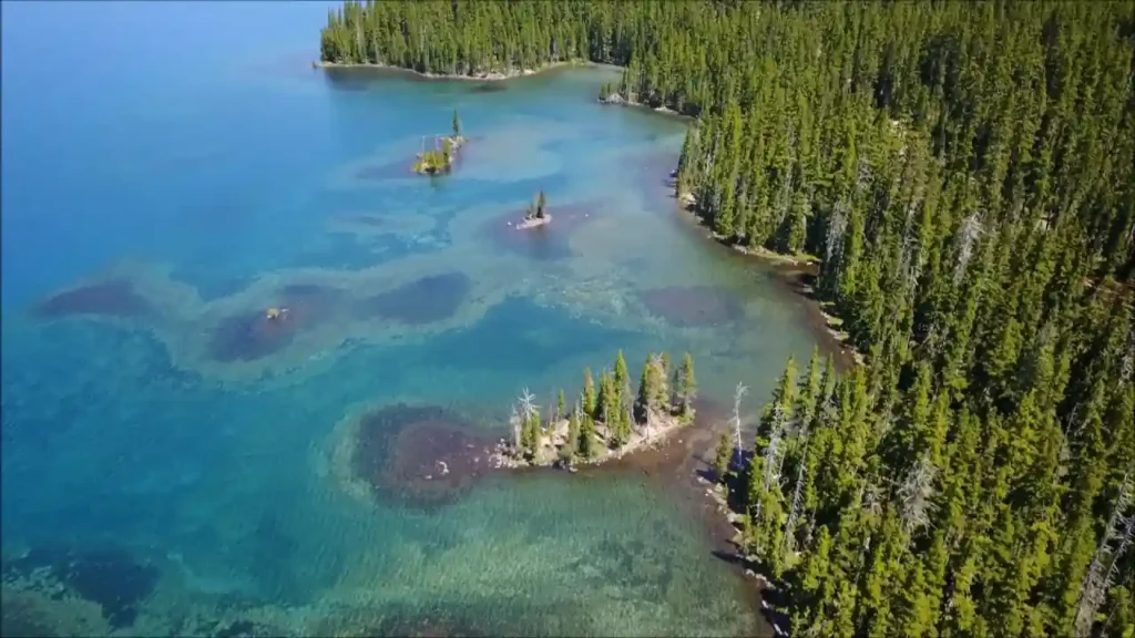 11 Clearest Lakes in the Western USA for Crystal Views 8 Waldo Lake Oregon – Purest Water in the U.S